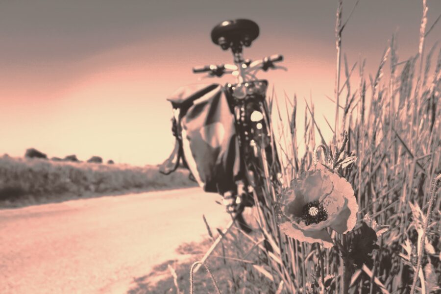 pista ciclabile nella strategia di promozione del territorio